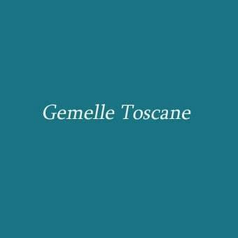 Gemelle Toscane borse artigianali