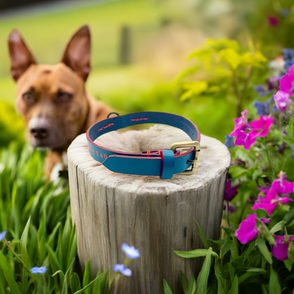 Collare artigianale in cuoio personalizzabile Gemelle Toscane appoggiato su un tronco con un cane sullo sfondo